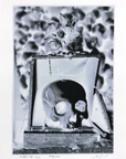 "Momento Mori- Negative White"