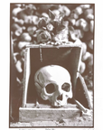 "Momento Mori- Tan"